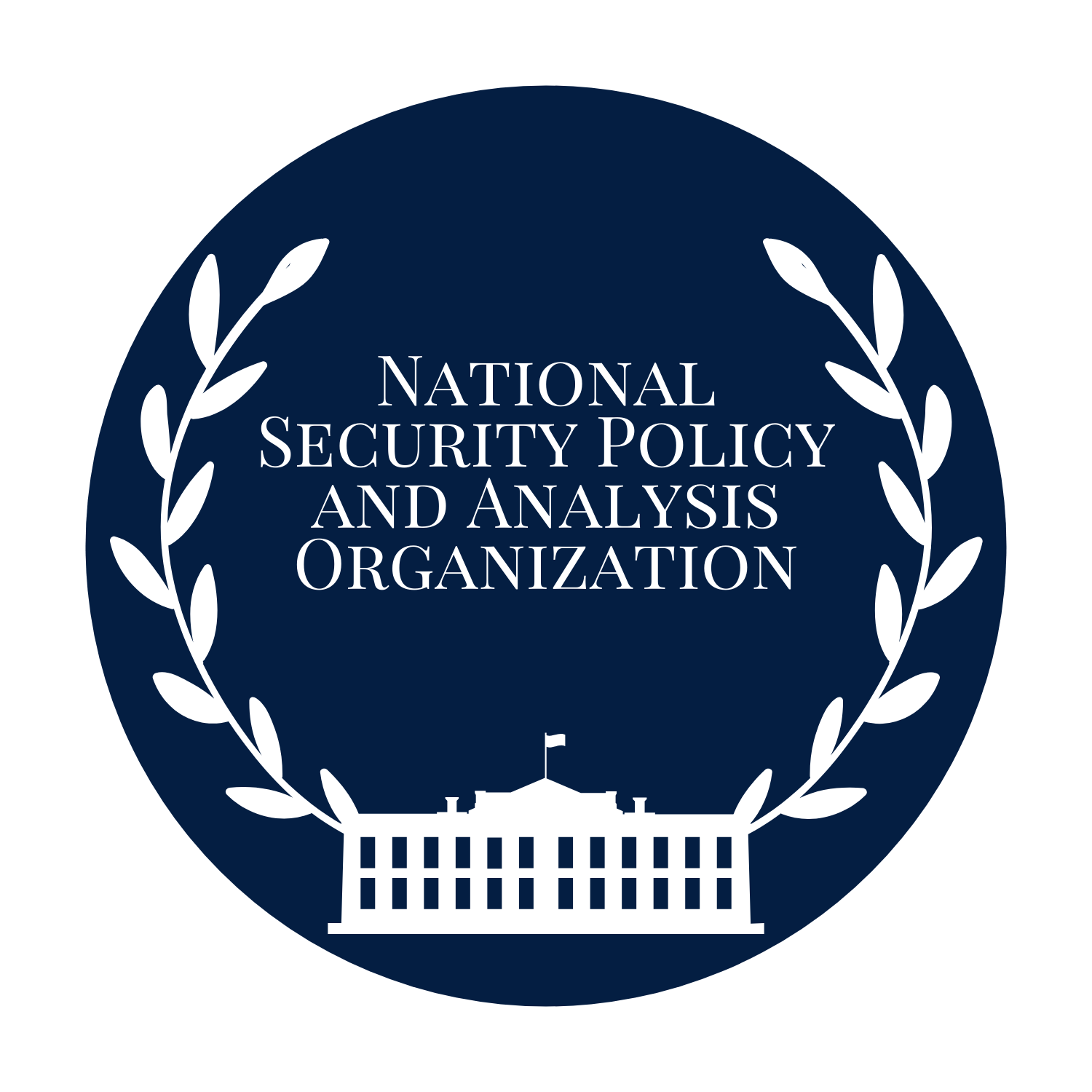 National Security Policy and Analysis Organization