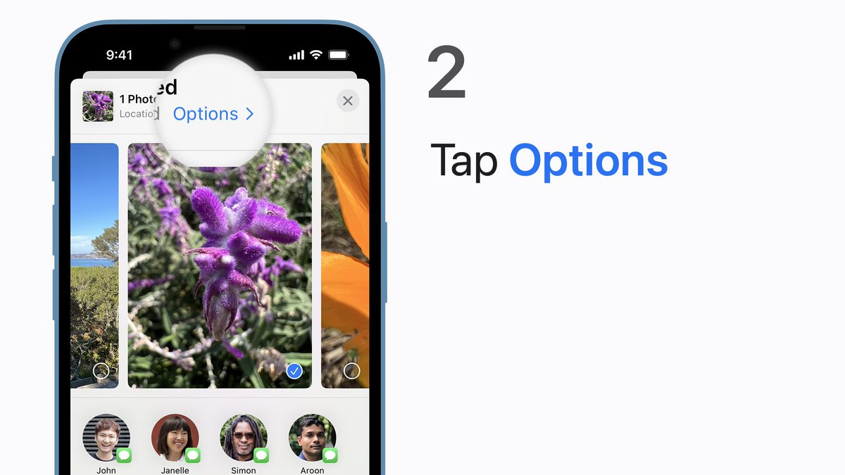 Step 2:
Then tap Options above the photo being shared.
