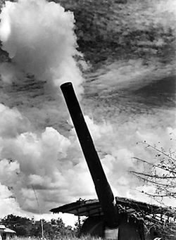 Artillery gun against sky backdrop