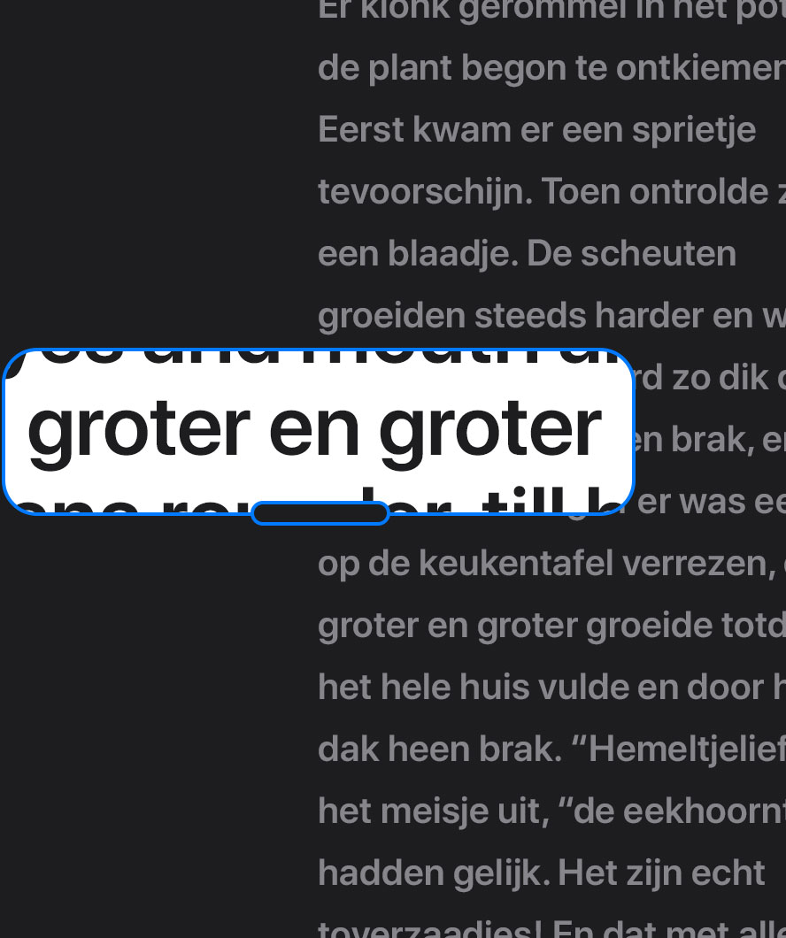 Tekst die is vergroot met de zoomfeature