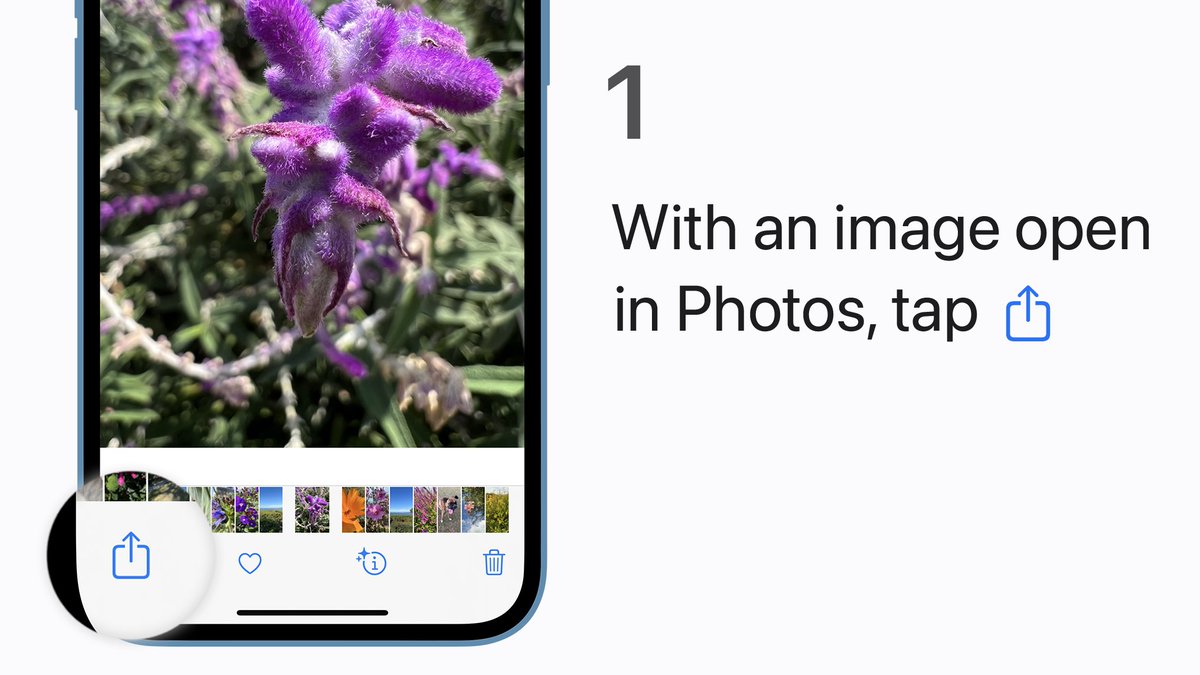 Step 1:
With an image open in Photos, tap the Share icon in the bottom-left corner.
