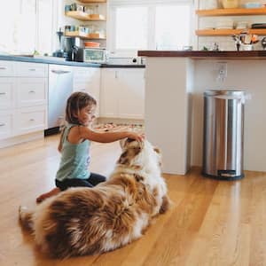 Girl playing with dog on kitchen floor