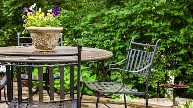 deck with furniture and plant