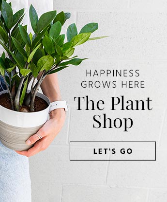 The Plant Shop