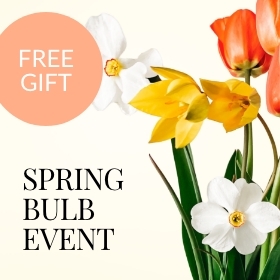 spring-bulb-event-global-nav-banner-280x280.jpg