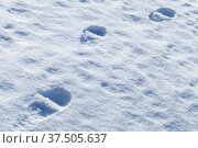 Footprints in snow, abstract background texture. Стоковое фото, фотограф EugeneSergeev / Фотобанк Лори