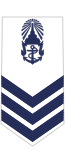 RTN OR-5 (Petty Officer 1st Class).svg
