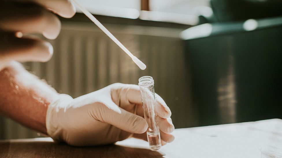 Test tube and solution (Credit: Catherine Falls Commercial/Getty Images)