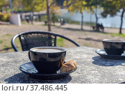 The morning coffee close-up in the park. Стоковое фото, фотограф Татьяна Ляпи / Фотобанк Лори