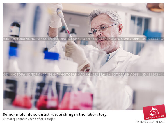 Senior male life scientist researching in the laboratory. Стоковое фото, фотограф Matej Kastelic / Фотобанк Лори