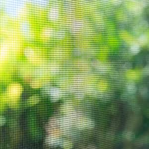 Screen door mesh close-up