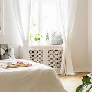 A bright bedroom with a plant and breakfast served on bed
