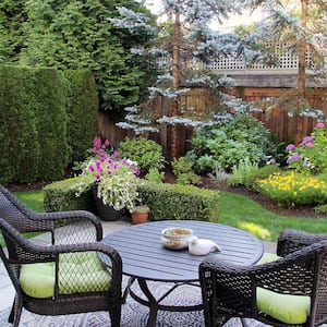 Backyard landscaping with pine trees