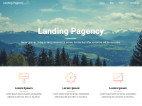 Landing Pagency