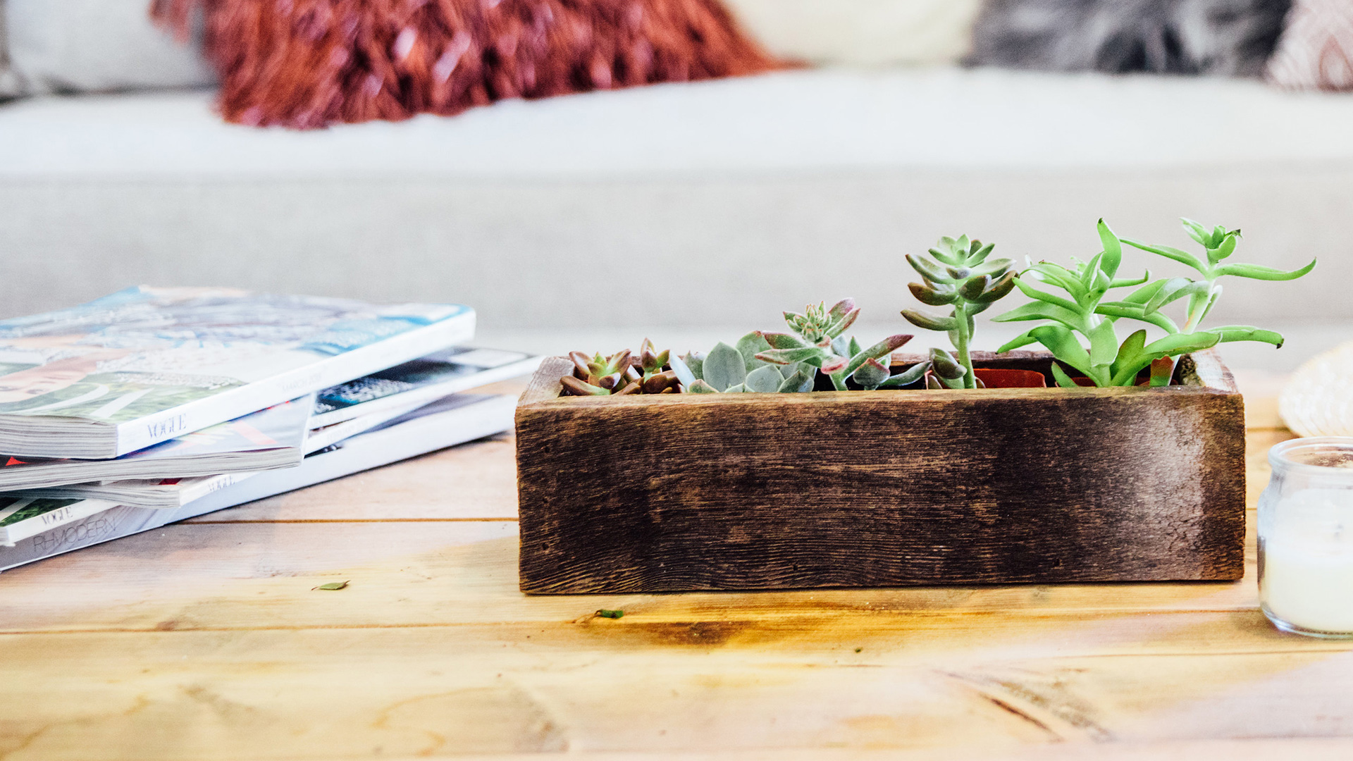 ### Wooden Succulent ###