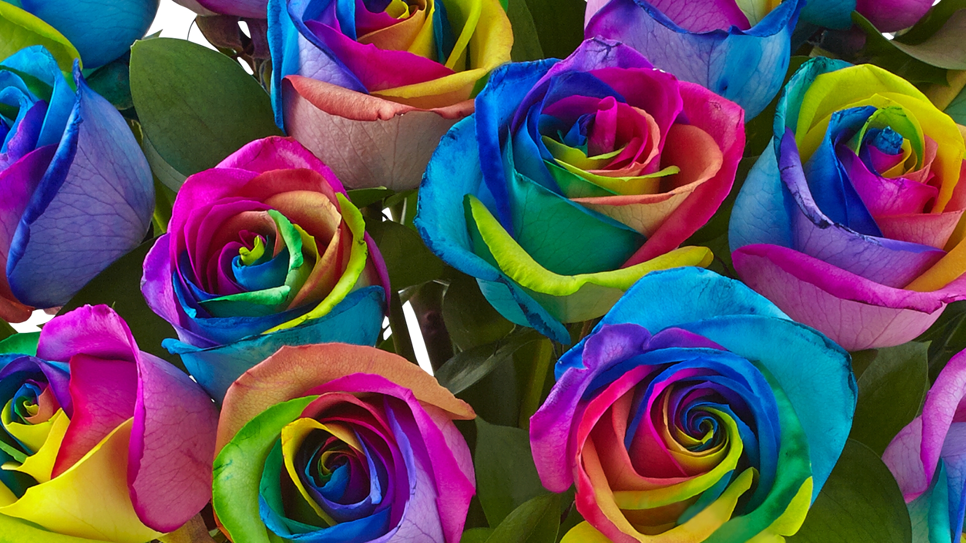 ### Pride Bouquet 2 ###