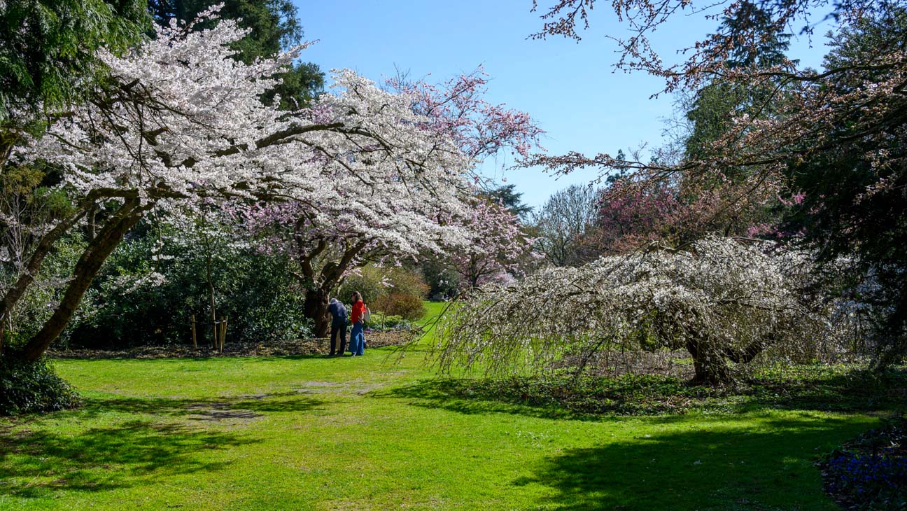 Arboretum Kalmthout