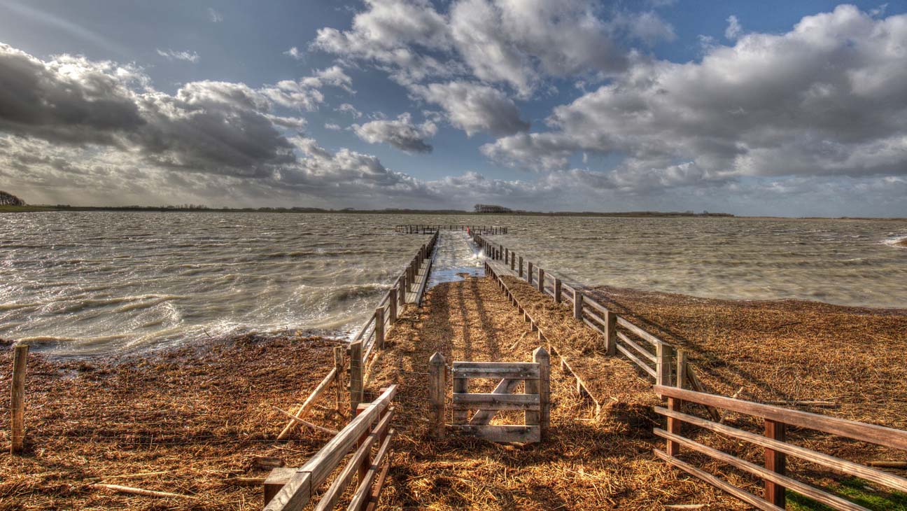 Natuurpark het zwin