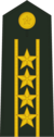 Colonel Commandant