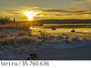 Winter landscape in direct light at sundset, open water with fog ... Стоковое фото, фотограф Mats Lindberg / age Fotostock / Фотобанк Лори