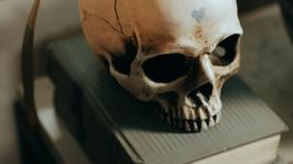 Skip to the End Book Club: Advice for Future Corpses (and Those Who Love Them)