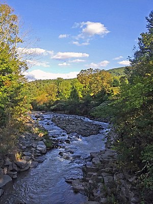 West Kill from Shoemaker Road bridge.jpg