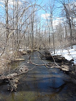 Casperkill at Vassar College, March 2014.jpg