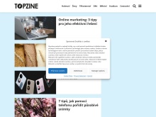 Topzine