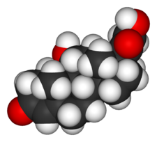 Cortisol-3D-vdW.png