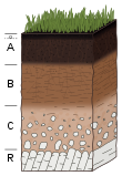 Soil profile.svg