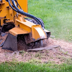 tree stump grinder machine