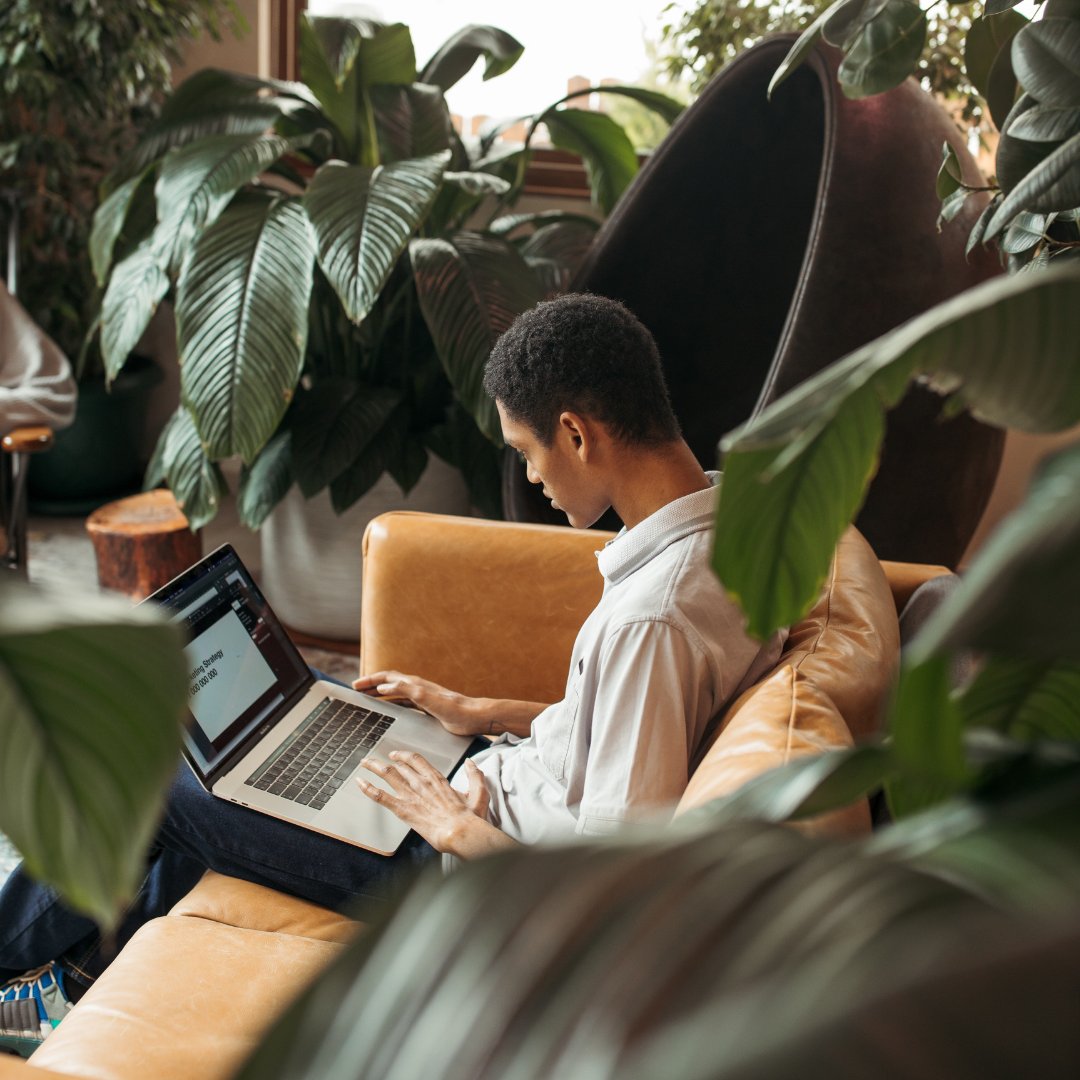 Young African American man working on laptop in room with plants