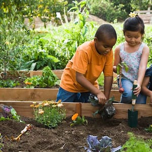 Children using gardening tools to plant flowers