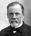 Louis Pasteur.jpg