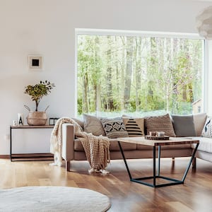 Modern living room with hardwood floor