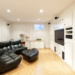 Finished Basement with Fireplace