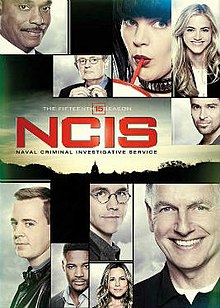 NCIS, The Fifteenth Season.jpg