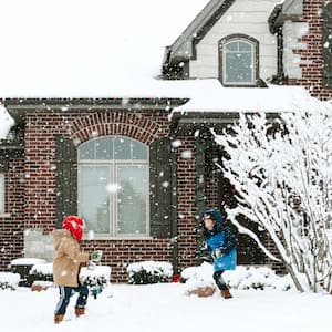 Brothers playing with snow in the yard