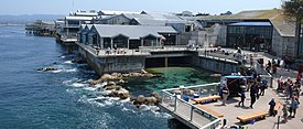 MontereyBayAquariumBackview (cropped).jpg