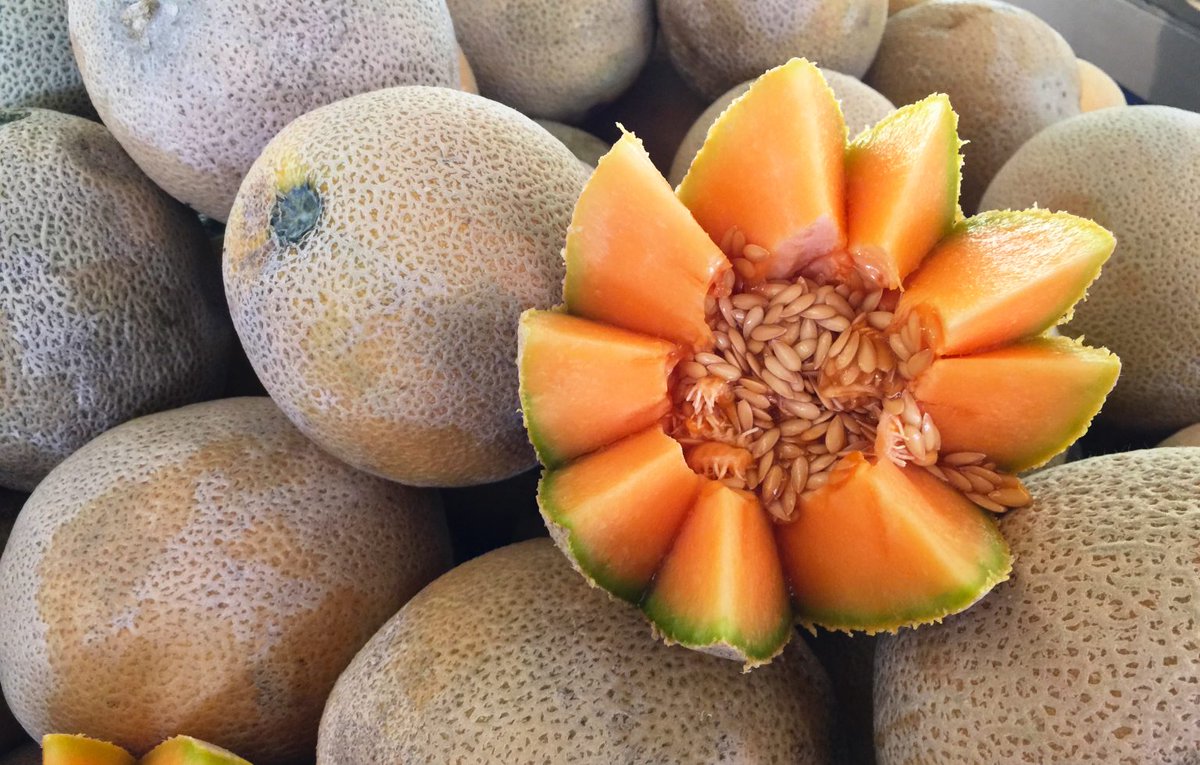 Decoratively cut cantaloupe melon