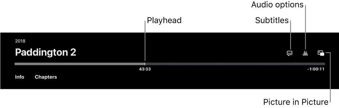 Playback controls