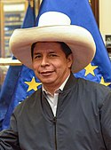 Pedro Castillo EU.jpg