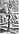 Justus Lipsius Crux Simplex 1629.jpg