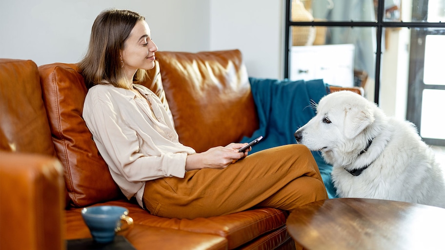 Woman sitting on leather sofa is looking at her dog