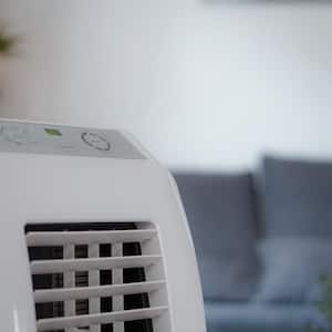 A mobile air conditioner refreshing a room