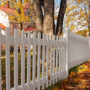 Picket fence in the fall