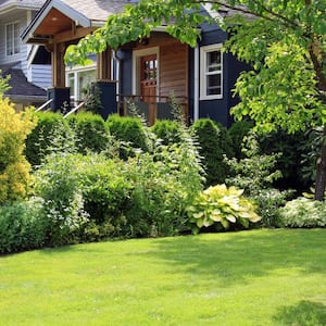 A beautiful home and garden