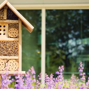 bee hotel surrounded by lavender