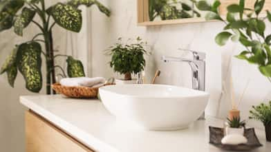 Sink and plants in stylish bathroom