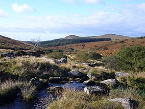 View to Sharpitor from Meavy.JPG